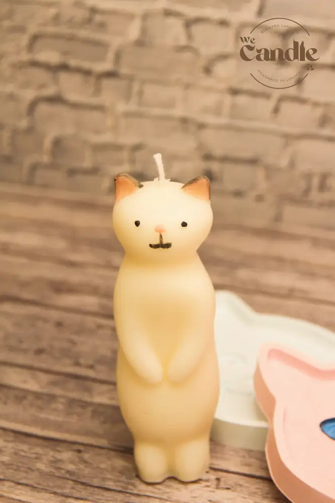 Cat-Themed Candle & Aroma Plaster Plate Workshop Candle