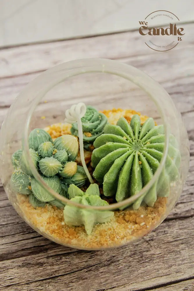 Succulent Terrarium Candle Making Workshop Candle